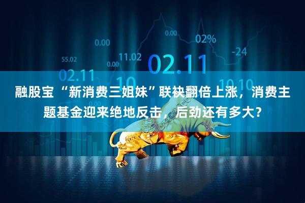 融股宝 “新消费三姐妹”联袂翻倍上涨，消费主题基金迎来绝地反击，后劲还有多大？