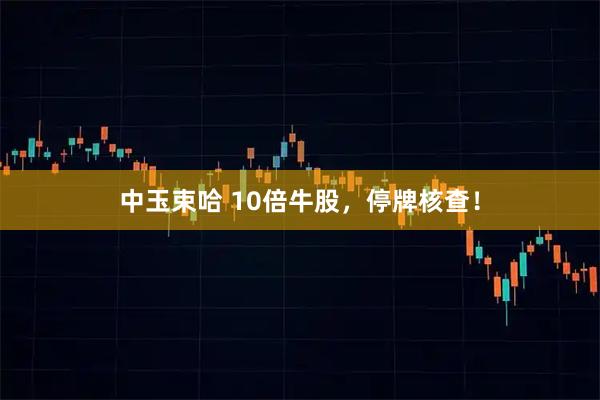 中玉束哈 10倍牛股，停牌核查！