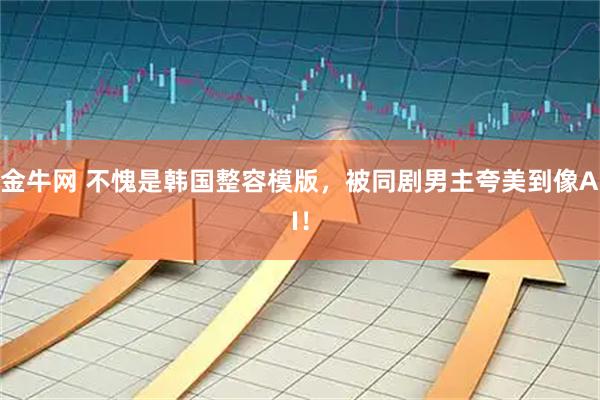 金牛网 不愧是韩国整容模版，被同剧男主夸美到像AI！